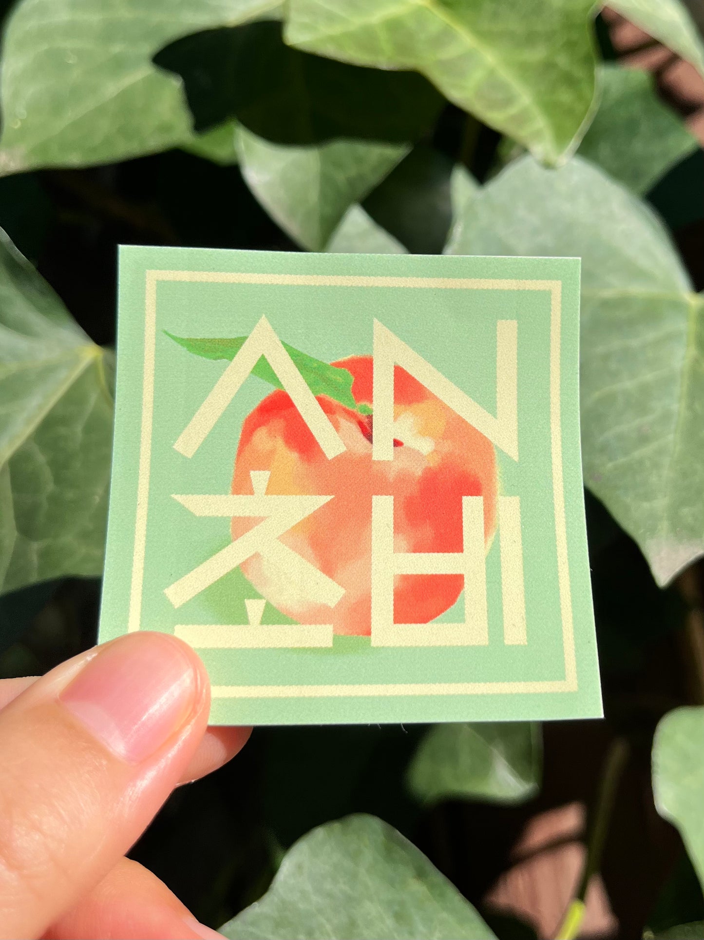 Fruit Stickers
